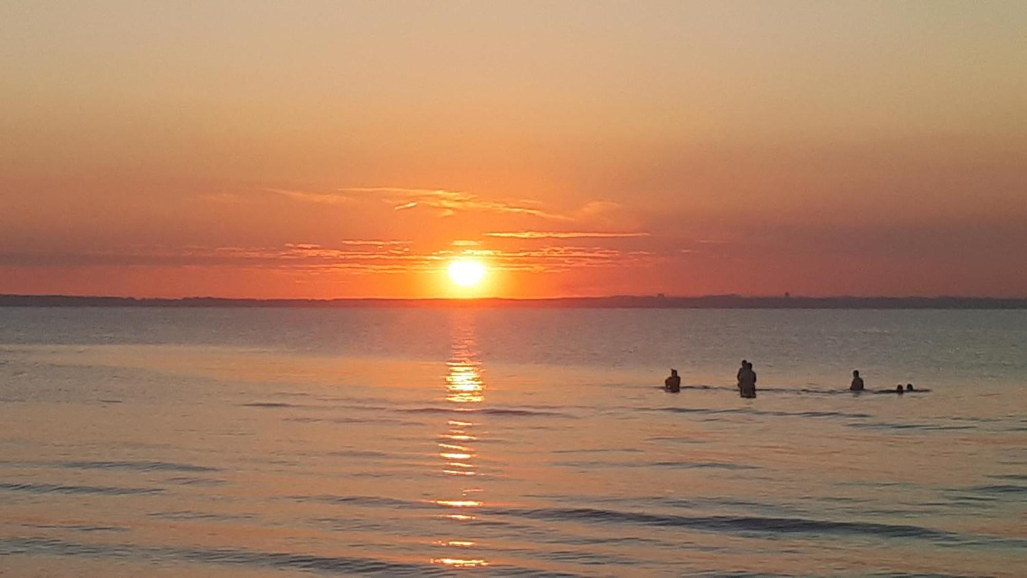 Haus Zum Strand Muschel Dassow المظهر الخارجي الصورة